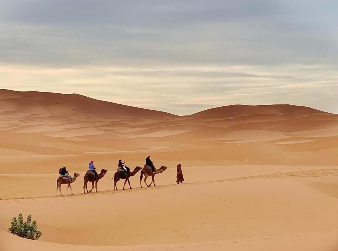 Erg Chegaga Camp Excursions Hotel M'Hamid Exterior photo